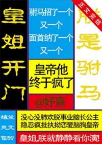 皇姐开门，朕是驸马